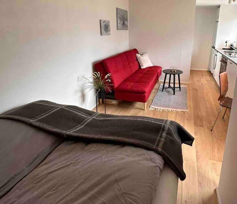 Studio Apartment Reykjavik City Center Luaran gambar